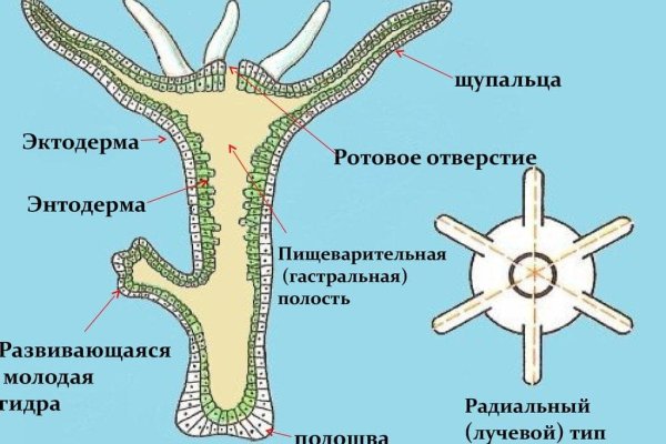 Kraken ссылка на сайт актуальная