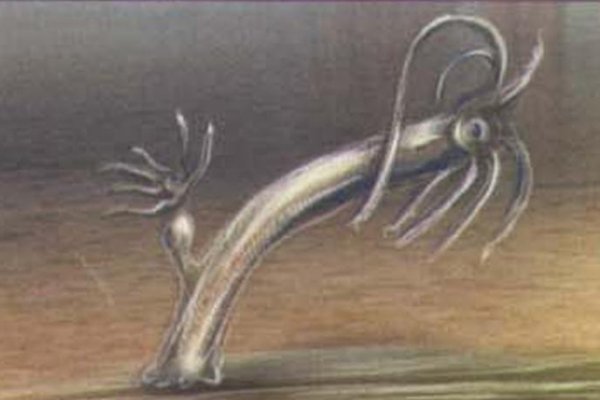 Kraken дарк магазин
