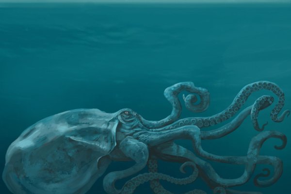 Kraken адрес onion