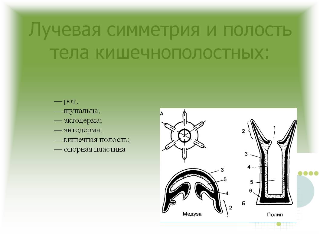 Кракен маркетплейс kr2connect co