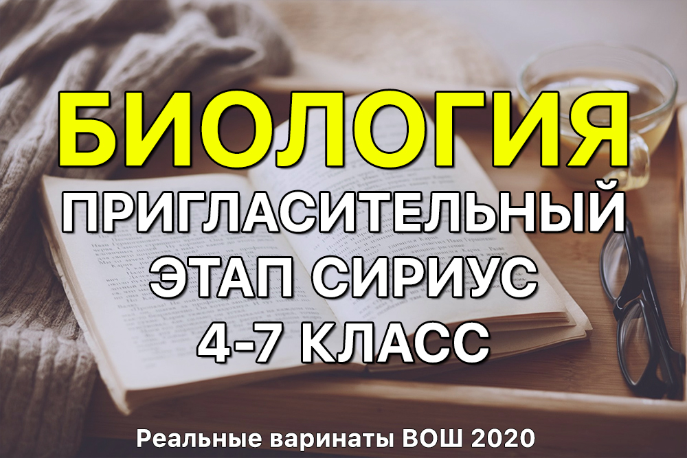 Даркнет москва